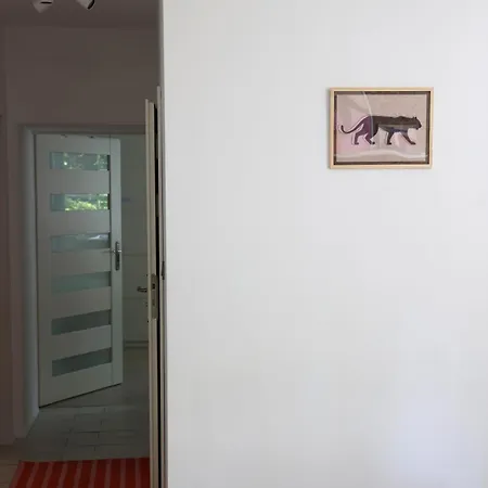 Radosna, Stare Podgorze, * Krakow